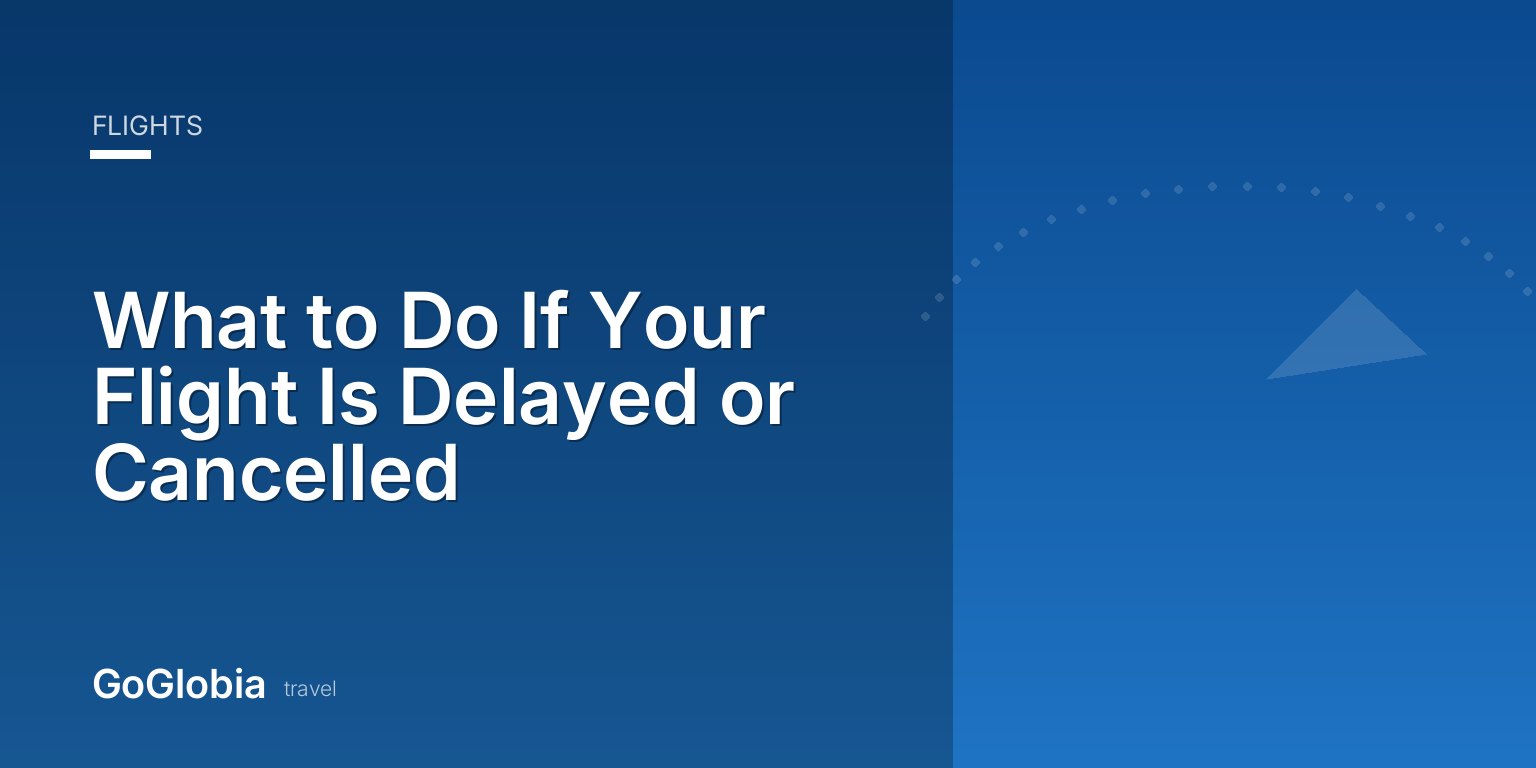 What to Do If Your Flight Is Delayed or Cancelled